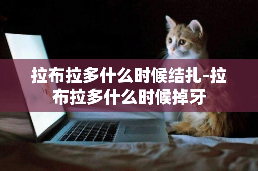 拉布拉多什么時候結扎-拉布拉多什么時候掉牙
