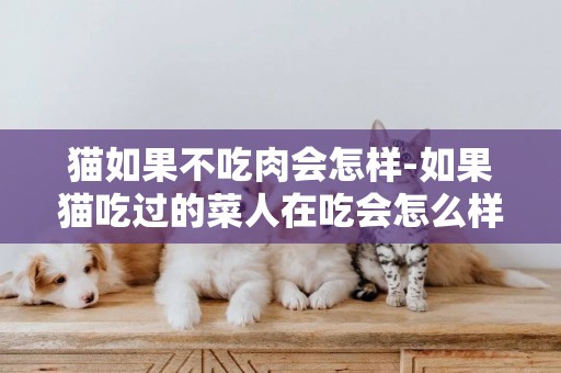 貓如果不吃肉會怎樣-如果貓吃過的菜人在吃會怎么樣