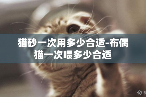 貓砂一次用多少合適-布偶貓一次喂多少合適