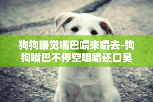狗狗睡覺嘴巴嚼來嚼去-狗狗嘴巴不停空咀嚼還口臭