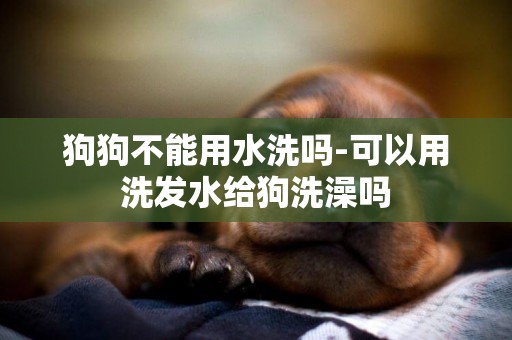 狗狗不能用水洗嗎-可以用洗發水給狗洗澡嗎