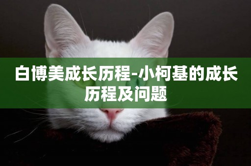 白博美成長歷程-小柯基的成長歷程及問題