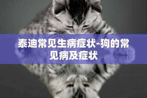 泰迪常見生病癥狀-狗的常見病及癥狀