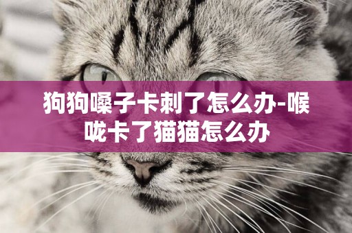 狗狗嗓子卡刺了怎么辦-喉嚨卡了貓貓怎么辦