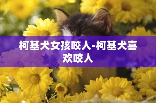 柯基犬女孩咬人-柯基犬喜歡咬人
