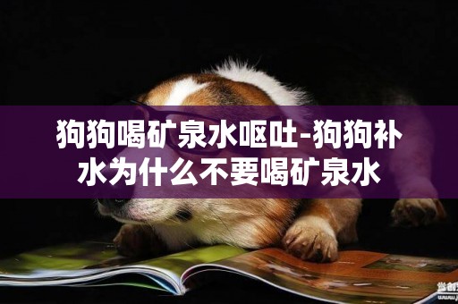 狗狗喝礦泉水嘔吐-狗狗補水為什么不要喝礦泉水