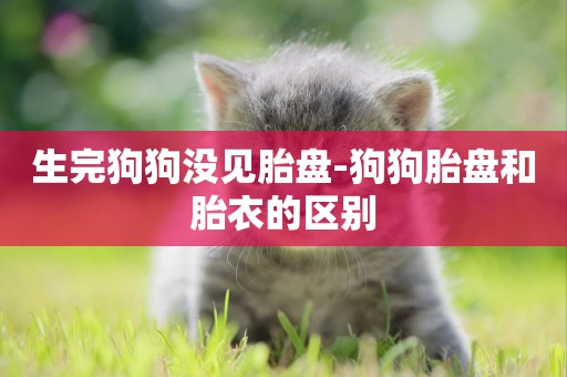 生完狗狗沒見胎盤-狗狗胎盤和胎衣的區別