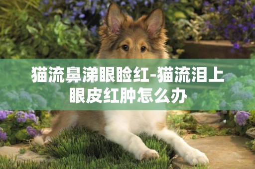 貓流鼻涕眼瞼紅-貓流淚上眼皮紅腫怎么辦