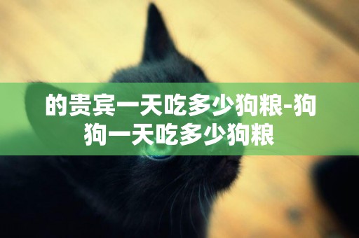 的貴賓一天吃多少狗糧-狗狗一天吃多少狗糧