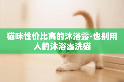 貓咪性價比高的沐浴露-也別用人的沐浴露洗貓