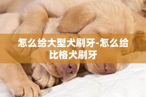 怎么給大型犬刷牙-怎么給比格犬刷牙
