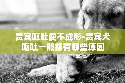 貴賓嘔吐便不成形-貴賓犬嘔吐一般都有哪些原因