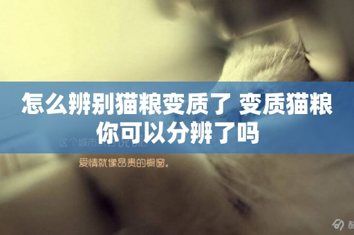 怎么辨別貓糧變質了 變質貓糧你可以分辨了嗎