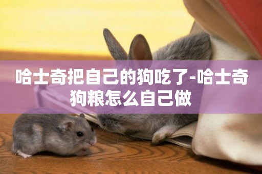 哈士奇把自己的狗吃了-哈士奇狗糧怎么自己做
