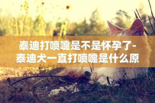 泰迪打噴嚏是不是懷孕了-泰迪犬一直打噴嚏是什么原因