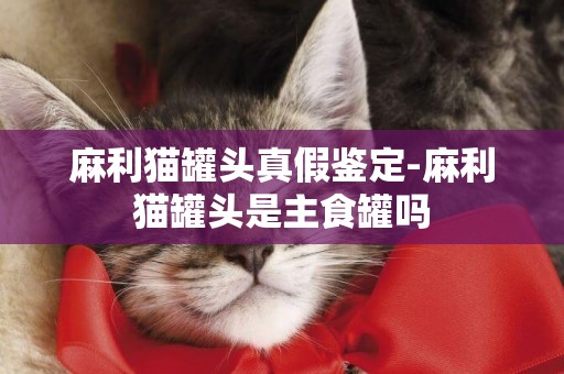 麻利貓罐頭真假鑒定-麻利貓罐頭是主食罐嗎
