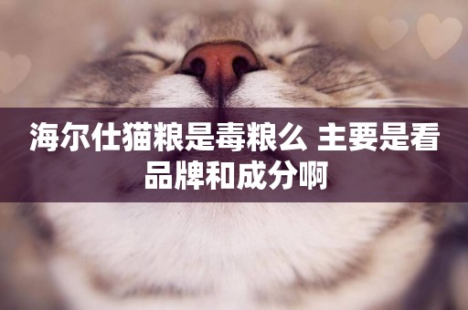 海爾仕貓糧是毒糧么 主要是看品牌和成分啊