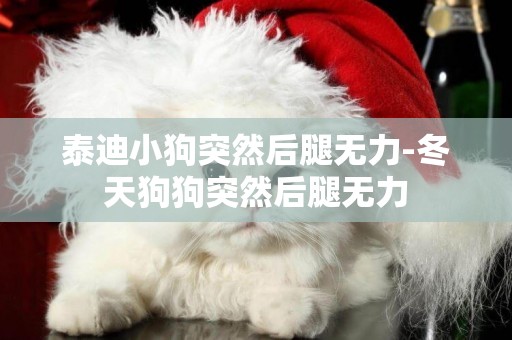 泰迪小狗突然后腿無力-冬天狗狗突然后腿無力