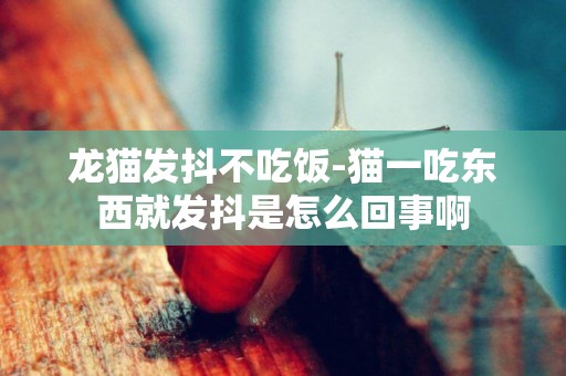 龍貓發抖不吃飯-貓一吃東西就發抖是怎么回事啊