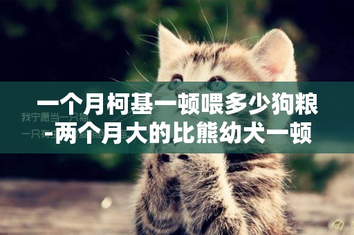 一個月柯基一頓喂多少狗糧-兩個月大的比熊幼犬一頓喂多少狗糧