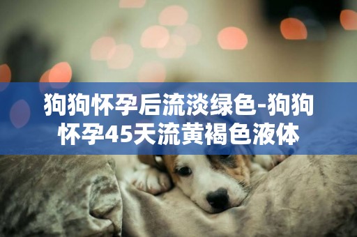 狗狗懷孕后流淡綠色-狗狗懷孕45天流黃褐色液體