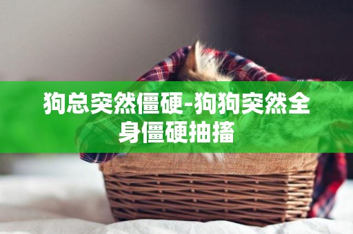狗總突然僵硬-狗狗突然全身僵硬抽搐