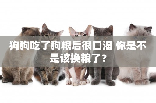 狗狗吃了狗糧后很口渴 你是不是該換糧了？
