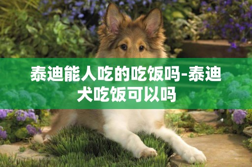 泰迪能人吃的吃飯嗎-泰迪犬吃飯可以嗎