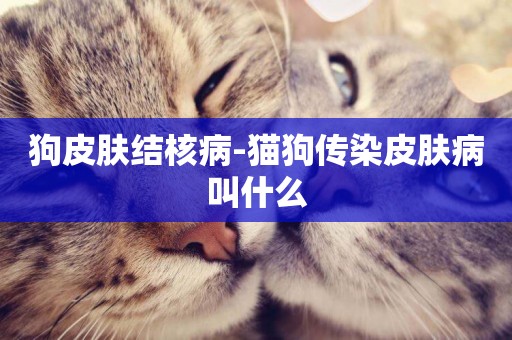 狗皮膚結核病-貓狗傳染皮膚病叫什么
