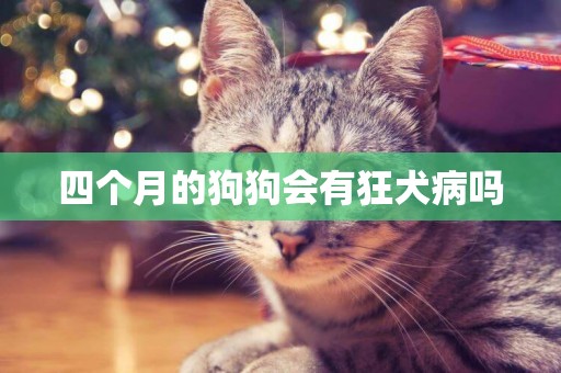 四個月的狗狗會有狂犬病嗎