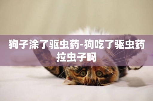 狗子涂了驅蟲藥-狗吃了驅蟲藥拉蟲子嗎