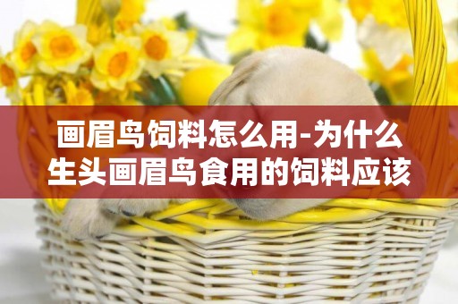 畫眉鳥飼料怎么用-為什么生頭畫眉鳥食用的飼料應該素食多于葷食呢