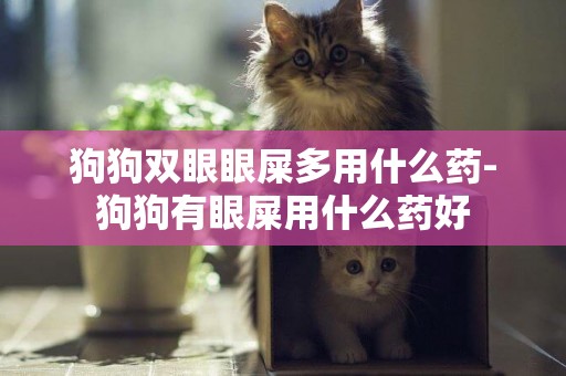 狗狗雙眼眼屎多用什么藥-狗狗有眼屎用什么藥好