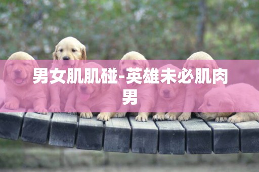男女肌肌碰-英雄未必肌肉男
