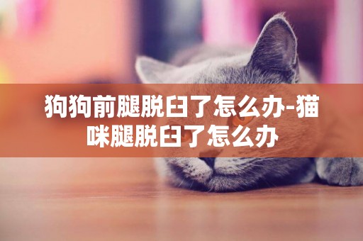 狗狗前腿脫臼了怎么辦-貓咪腿脫臼了怎么辦