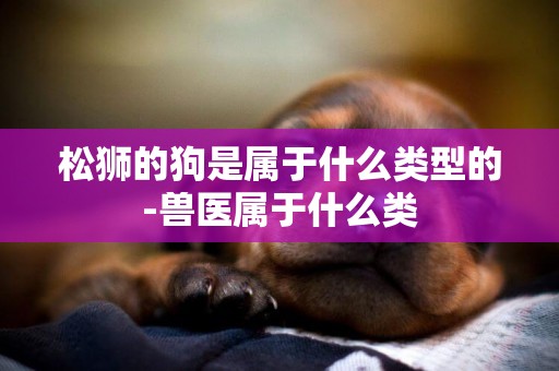松獅的狗是屬于什么類型的-獸醫屬于什么類