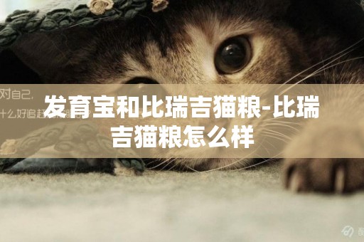 發育寶和比瑞吉貓糧-比瑞吉貓糧怎么樣