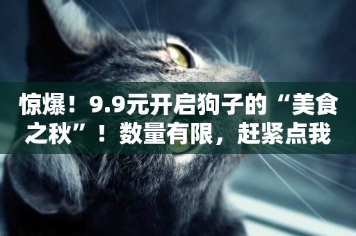 驚爆！9.9元開啟狗子的“美食之秋”！數量有限，趕緊點我