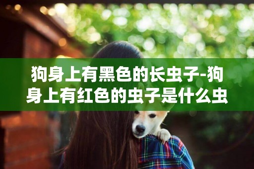 狗身上有黑色的長蟲子-狗身上有紅色的蟲子是什么蟲子