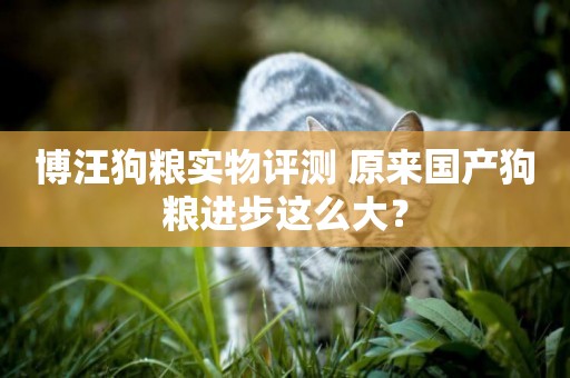 博汪狗糧實物評測 原來國產狗糧進步這么大？