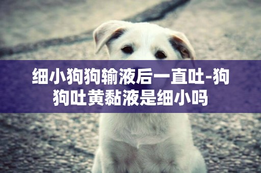 細小狗狗輸液后一直吐-狗狗吐黃黏液是細小嗎