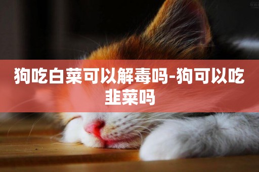 狗吃白菜可以解毒嗎-狗可以吃韭菜嗎