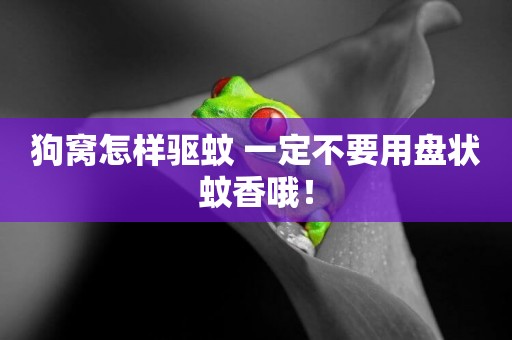 狗窩怎樣驅蚊 一定不要用盤狀蚊香哦！