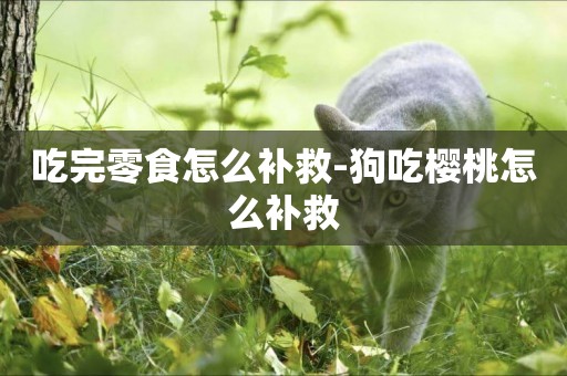 吃完零食怎么補救-狗吃櫻桃怎么補救