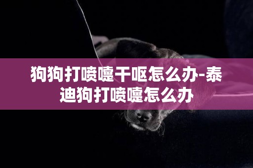 狗狗打噴嚏干嘔怎么辦-泰迪狗打噴嚏怎么辦