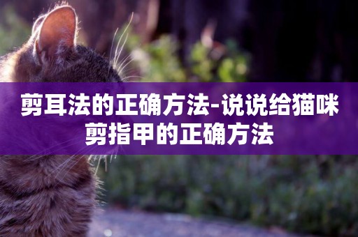 剪耳法的正確方法-說說給貓咪剪指甲的正確方法