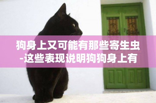 狗身上又可能有那些寄生蟲-這些表現說明狗狗身上有寄生蟲