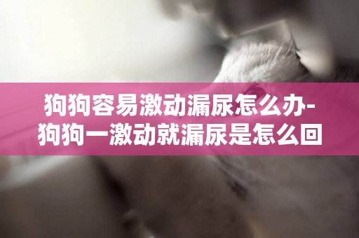 狗狗容易激動漏尿怎么辦-狗狗一激動就漏尿是怎么回事