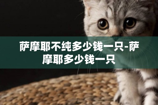 薩摩耶不純多少錢一只-薩摩耶多少錢一只
