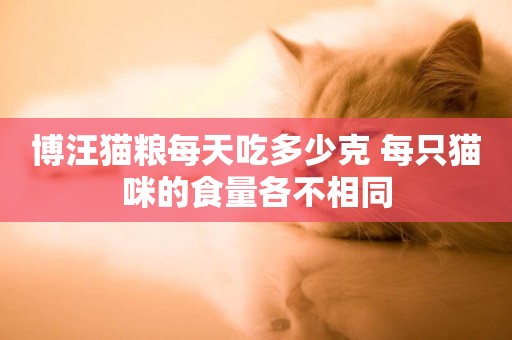 博汪貓糧每天吃多少克 每只貓咪的食量各不相同